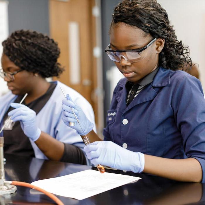 Students working in lab with test tubes